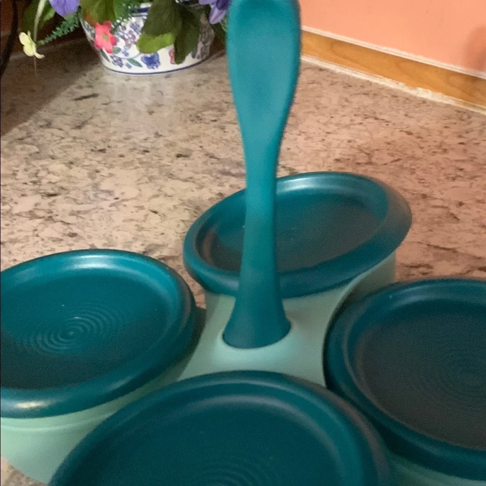 NWT Tupperware  Essentials Condiment Server 4 piece Set Shades Of Teal